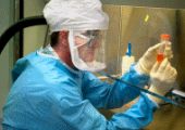 Manipulaci�n en laboratorio