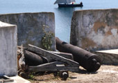 Mozambique. Defensas