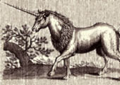 Unicornio