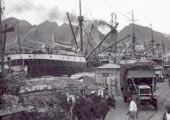 Muelle Sur. Carga de huacales